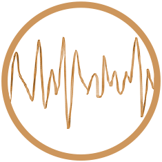 Grabensia Alpha Valley – Neuro-Feedback & Tudatos Jelenlét